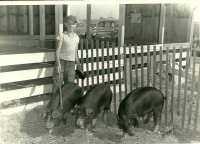 With his pigs 1946